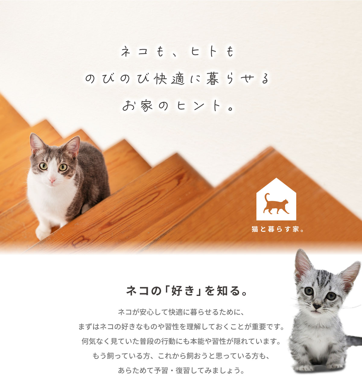 美都住販　猫と暮らす家　ネコも、ヒトも のびのび快適に暮らせる お家のヒント。　ネコの「好き」を知る。　ネコが安心して快適に暮らせるために、 まずはネコの好きなものや習性を理解しておくことが重要です。 何気なく見ていた普段の行動にも本能や習性が隠れています。 もう飼っている方、これから飼おうと思っている方も、 あらためて予習・復習してみましょう。