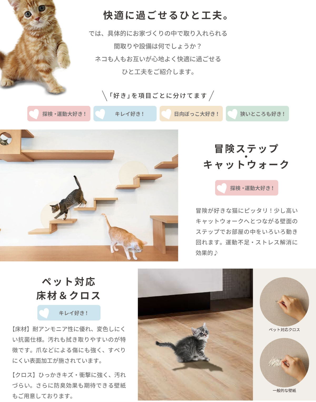 美都住販　猫と暮らす家　快適に過ごせるひと工夫。　では、具体的にお家づくりの中で取り入れられる間取りや設備は何でしょうか？ ネコも人もお互いが心地よく快適に過ごせる ひと工夫をご紹介します。　「好き」を項目ごとに分けてます　探検・運動大好き！　キレイ好き！　日向ぼっこ大好き！　狭いところも好き！　冒険ステップ・キャットウォーク　冒険が好きな猫にピッタリ！少し高いキャットウォークへとつながる壁面のステップでお部屋の中をいろいろ動き回れます。運動不足・ストレス解消に効果的♪　ペット対応 床材＆クロス　【床材】耐アンモニア性に優れ、変色しにくい抗菌仕様。汚れも拭き取りやすいのが特徴です。爪などによる傷にも強く、すべりにくい表面加工が施されています。 【クロス】ひっかきキズ・衝撃に強く、汚れづらい。さらに防臭効果も期待できる壁紙もご用意しております。