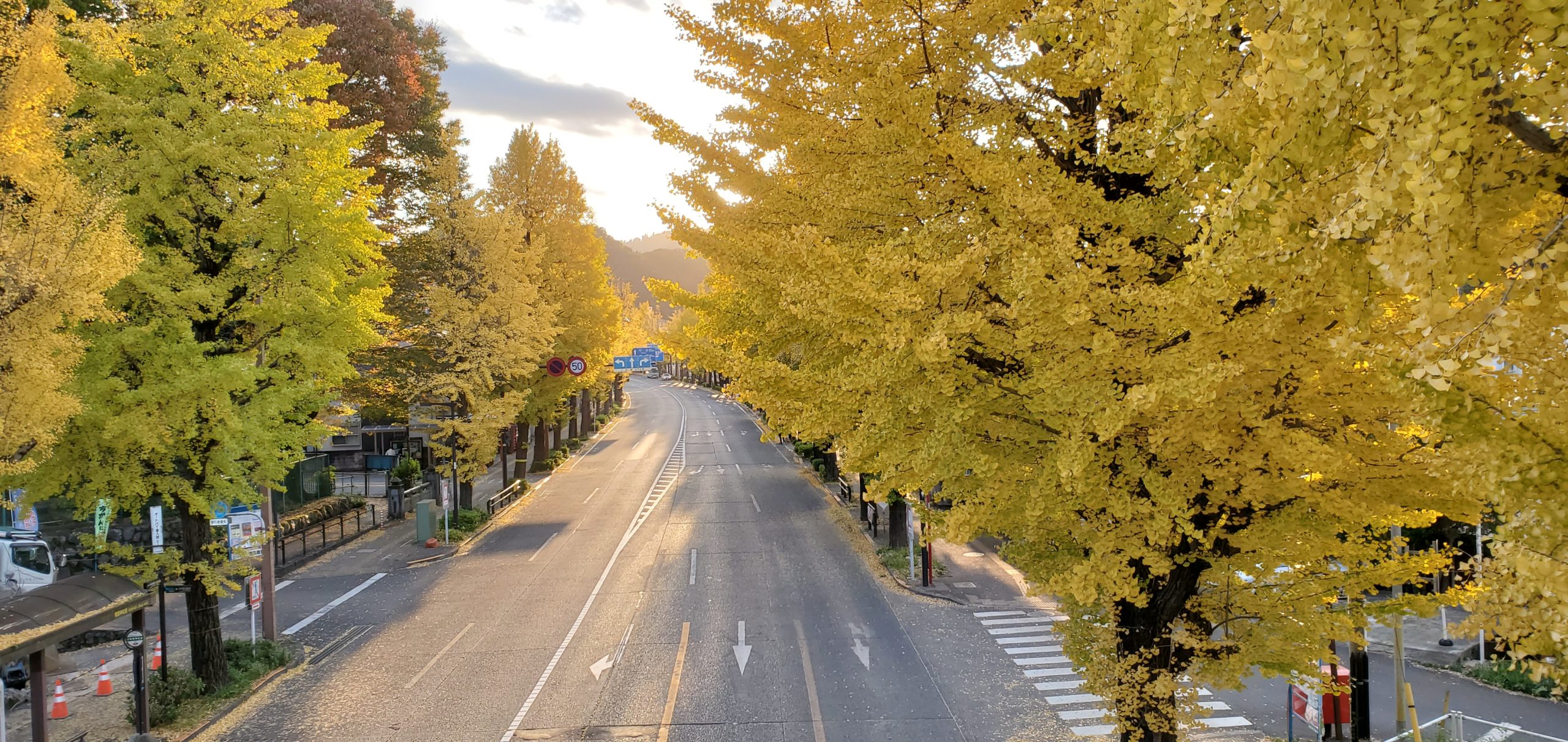 高尾山・八王子いちょうまつり