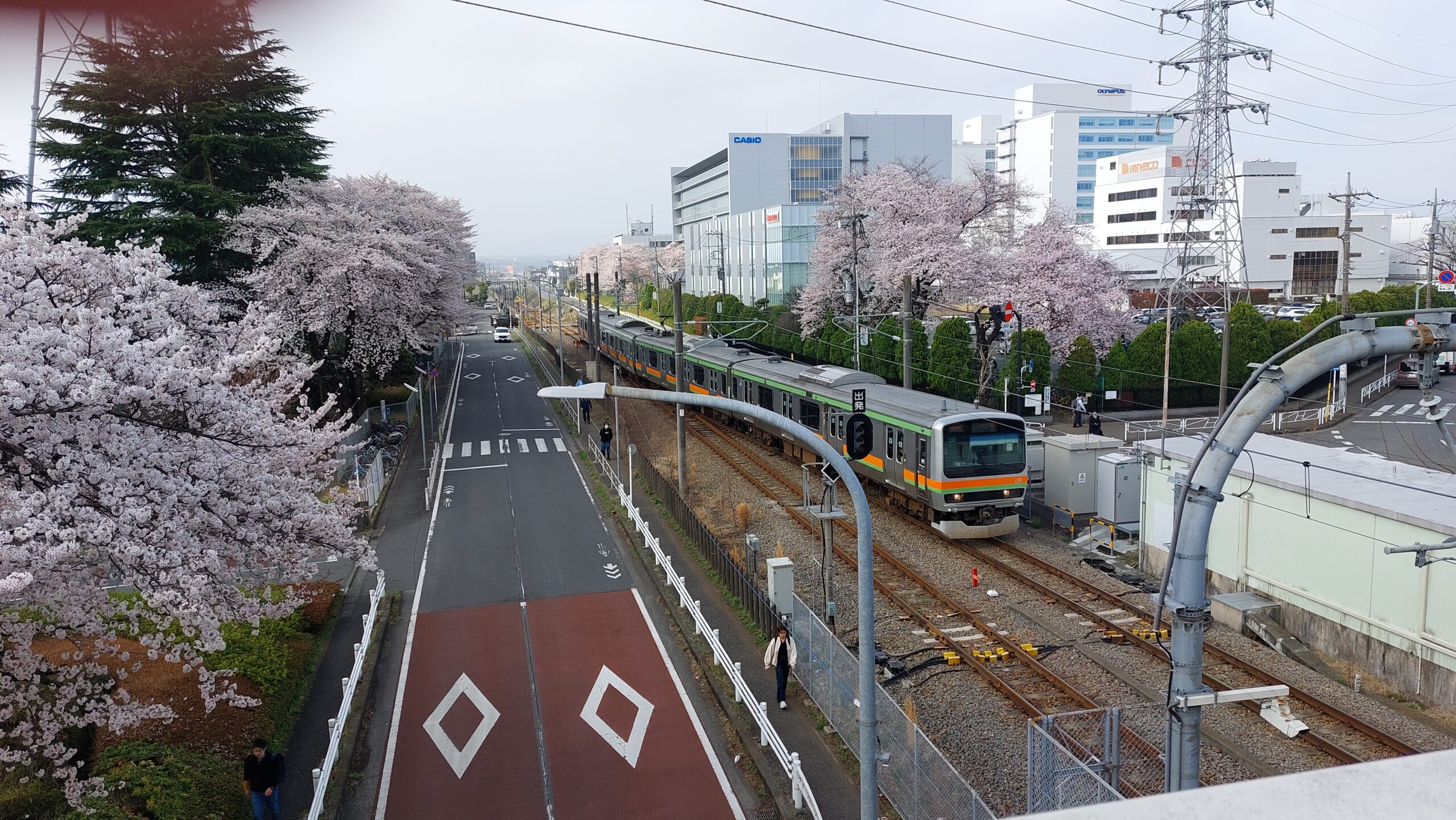 さくら　と　Ｓ様邸お引渡し　と　新入社員と。