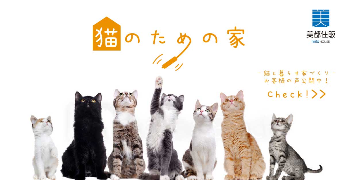 猫ちゃんといっしょに住む家