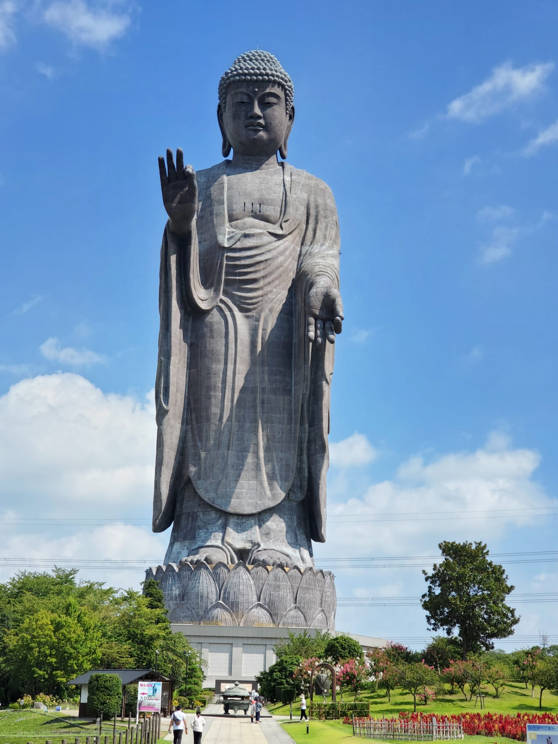 台風に備えて