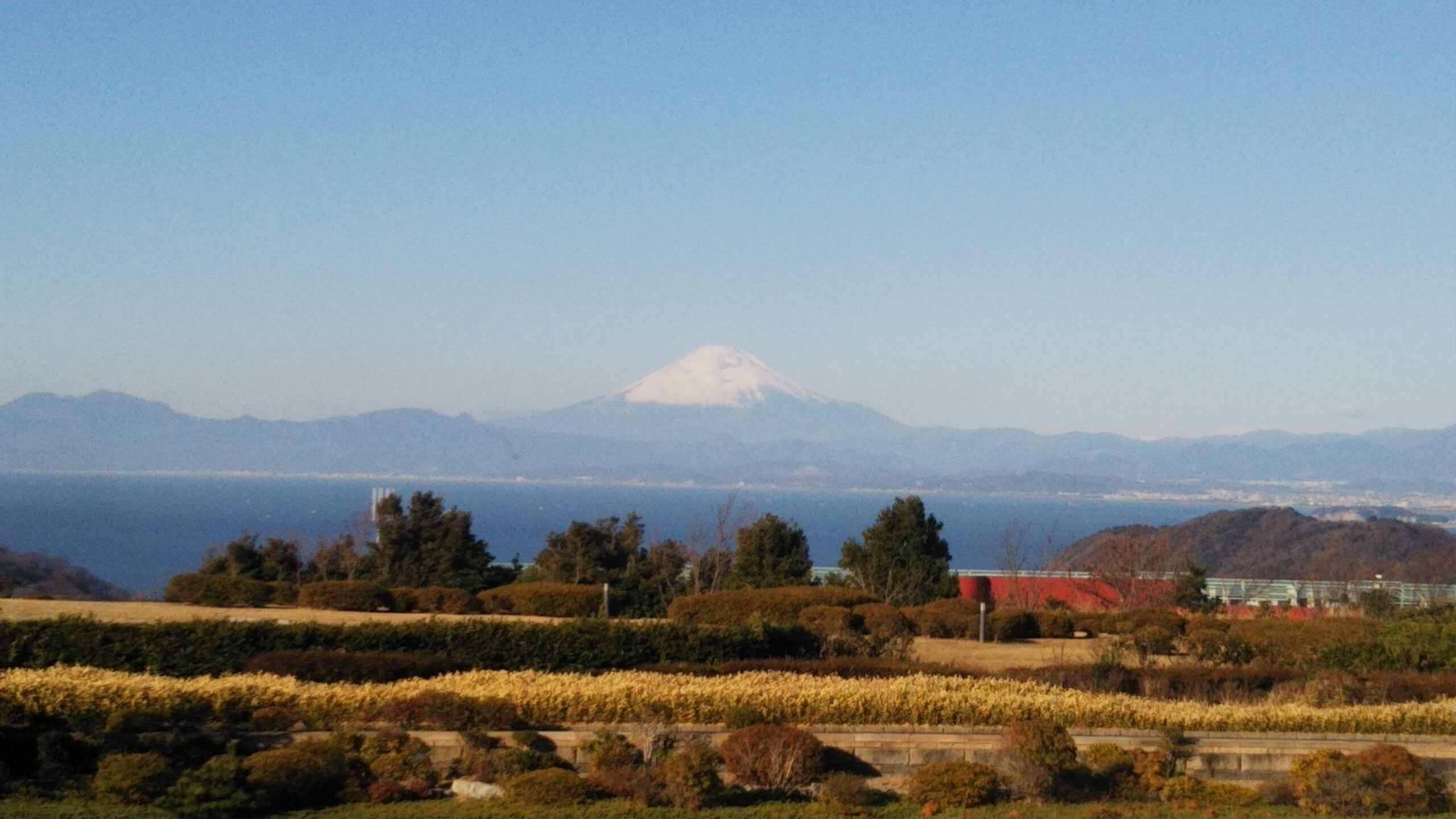 初富士山！