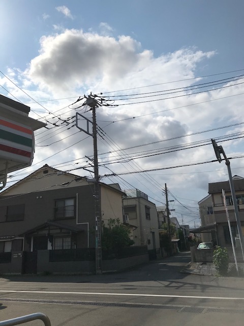 梅の雨って・・・