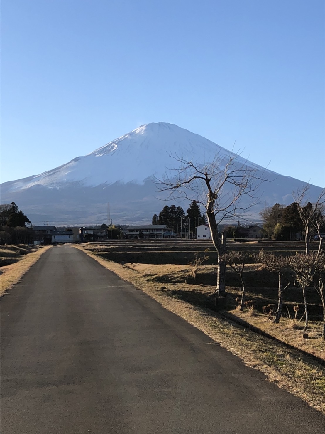 のどかですねぇ～