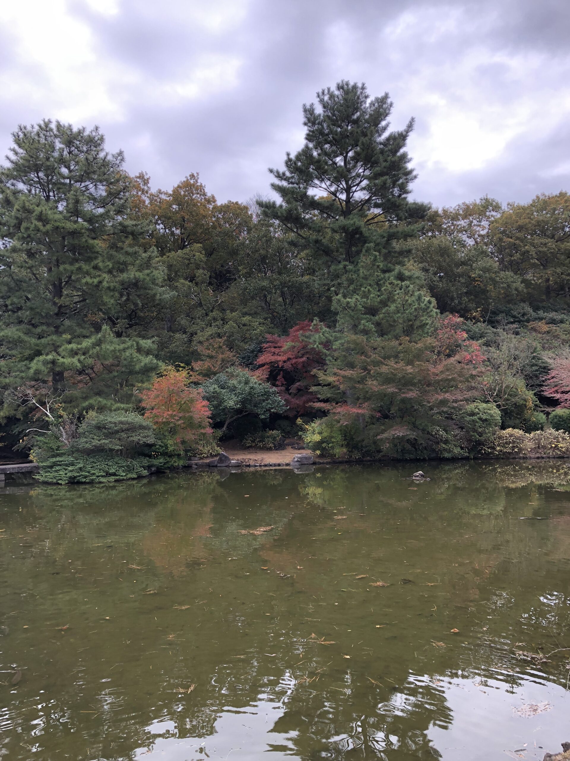 明日から師走