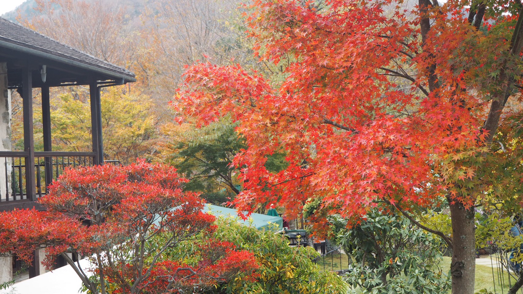 サポート室定期点検