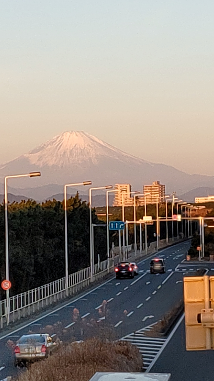 寒い日々が続いておりますが。